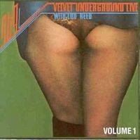 The Velvet Underground : 1969: The Velvet Underground Live